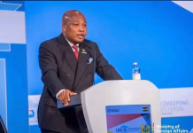 Ghana exempted from 15% tariff on unprocessed and semi-processed agricultural products to US – Ablakwa