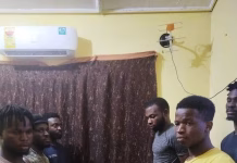 Cybercrime: 53 Nigerians arrested in a joint operation